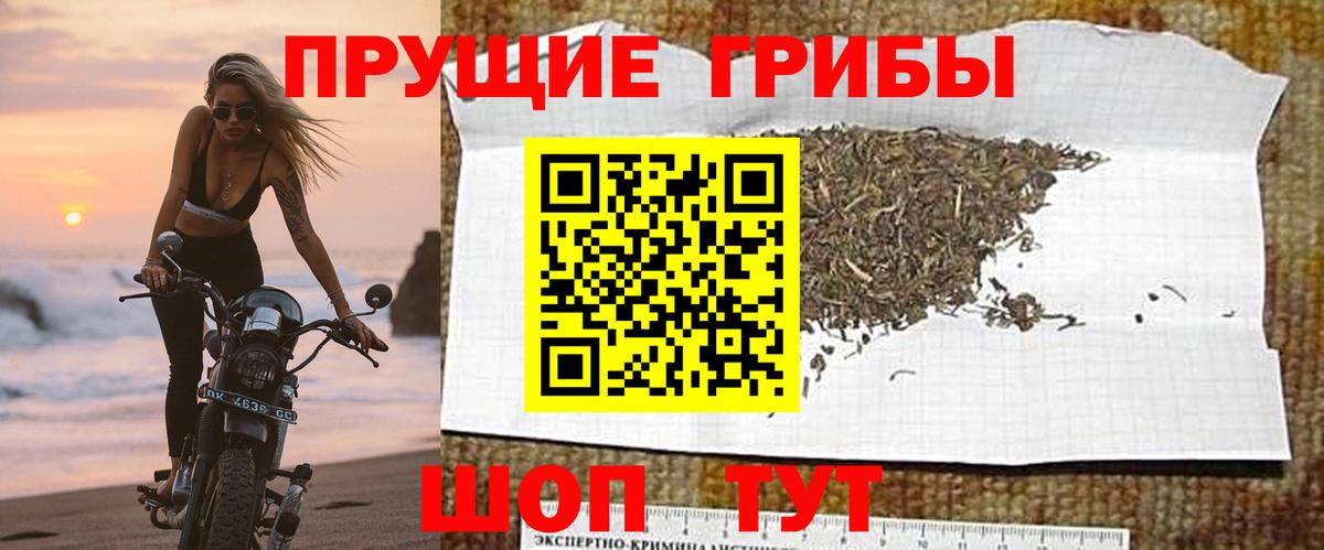 Псилоцибиновые грибы мухоморы  Псилоцибиновые грибы мицелий  Валуйки  Вход с VPN 